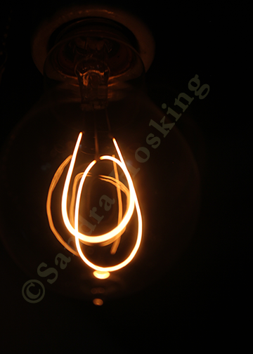Incandescent lightbulb filaments