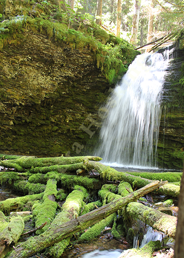 mossy logs and waterfall